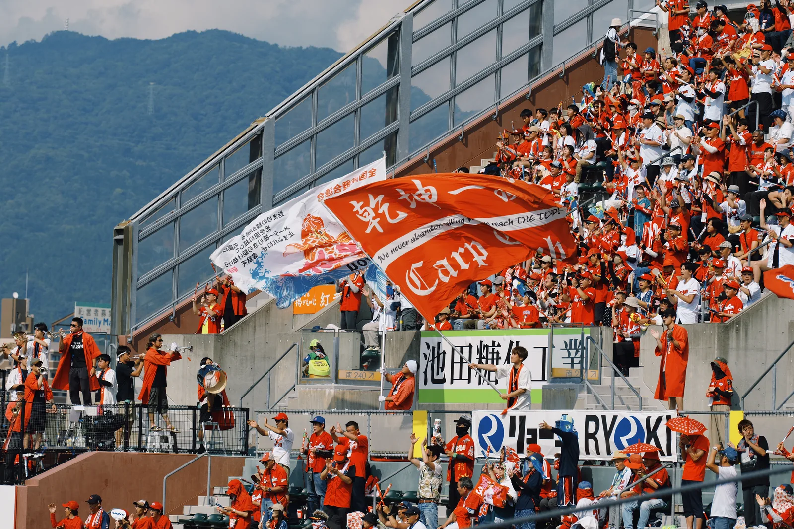Carp Today