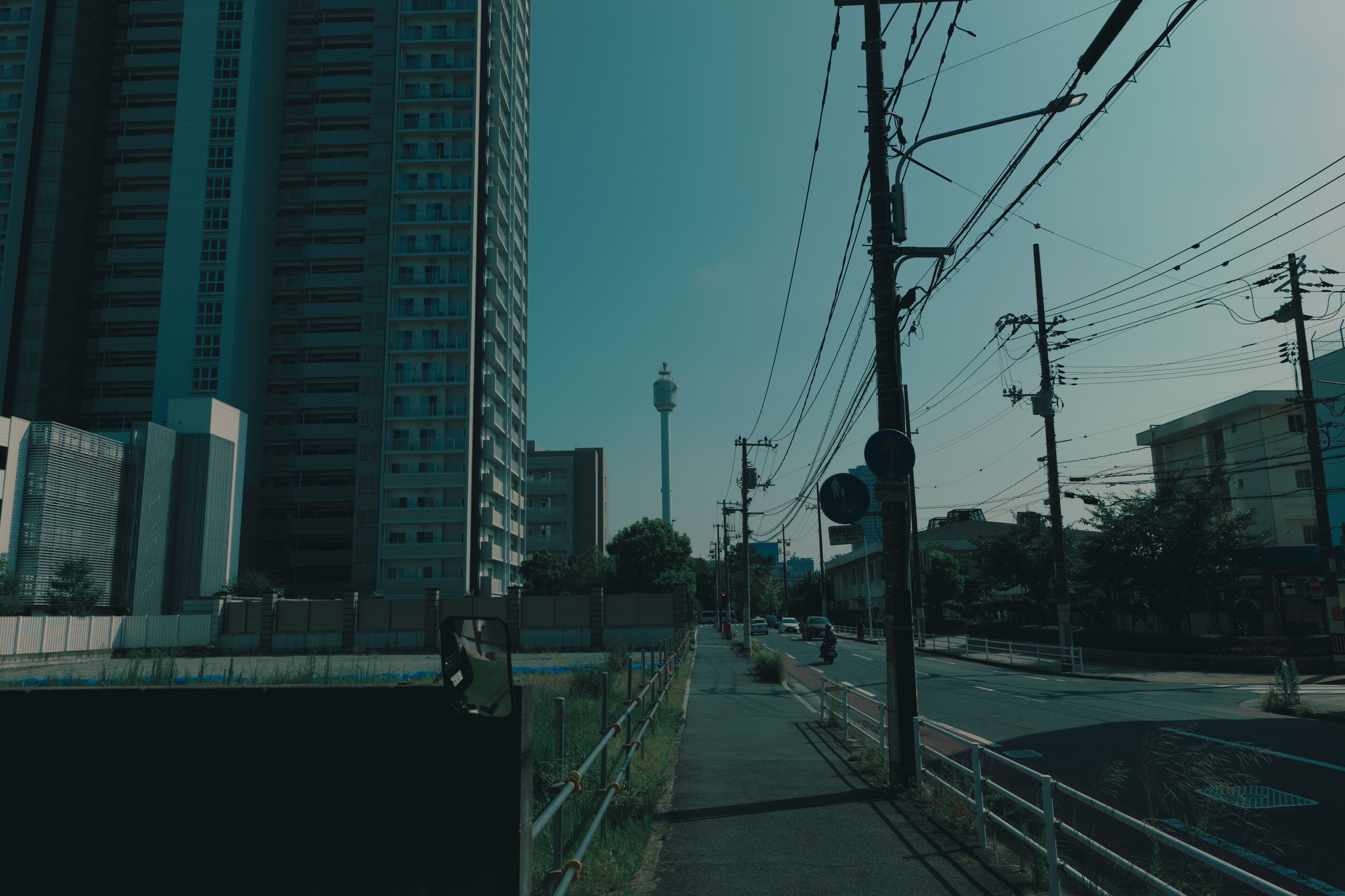 毎日見る風景

A view I see every day