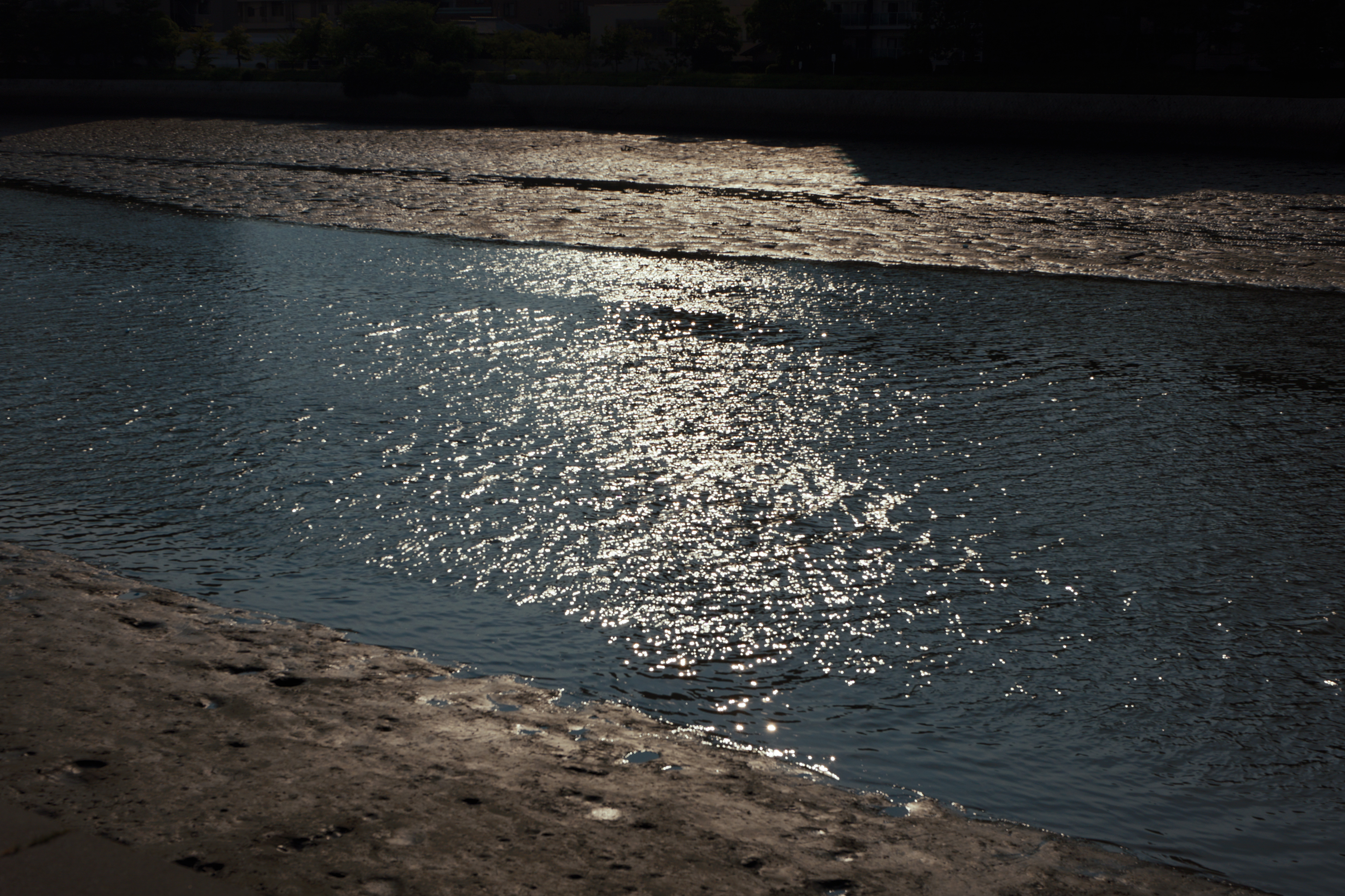 潮の匂いまでは写らない

A photograph cannot capture the smell of the sea