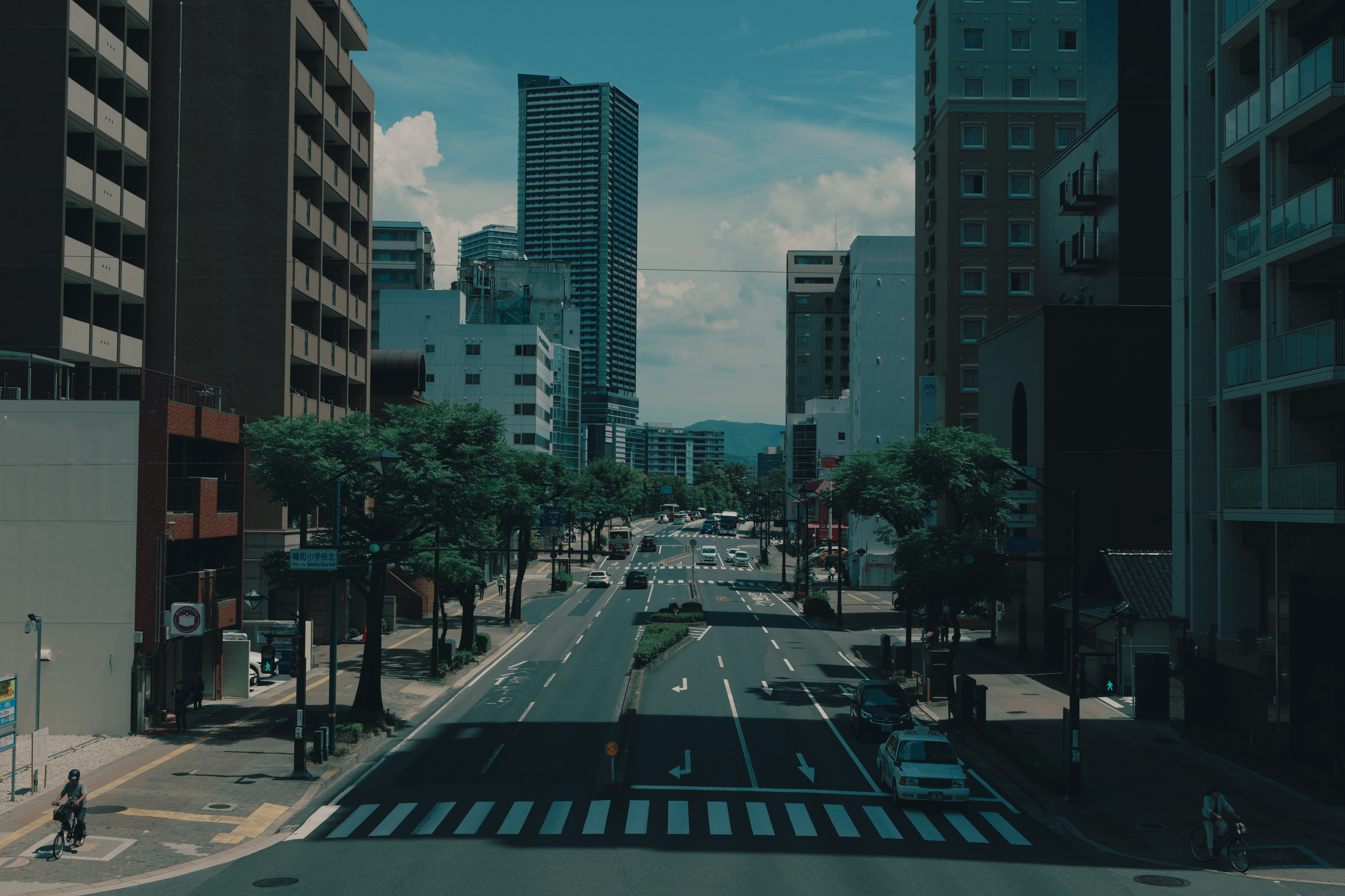Summer Road