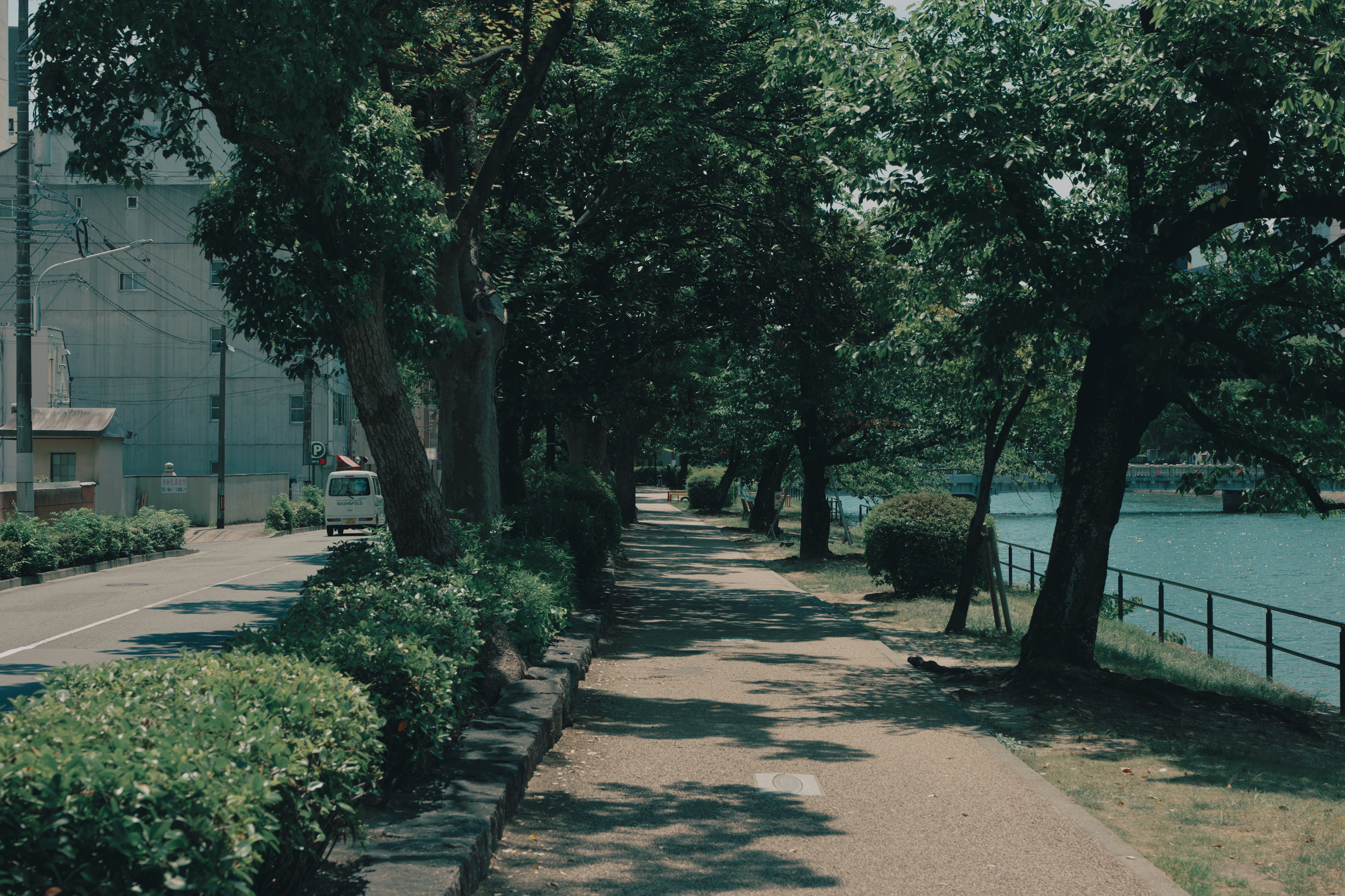 この風景を見て夏の音が聞こえたあなたは日本人

If you look at this scenery and hear the sounds of summer, you are Japanese.