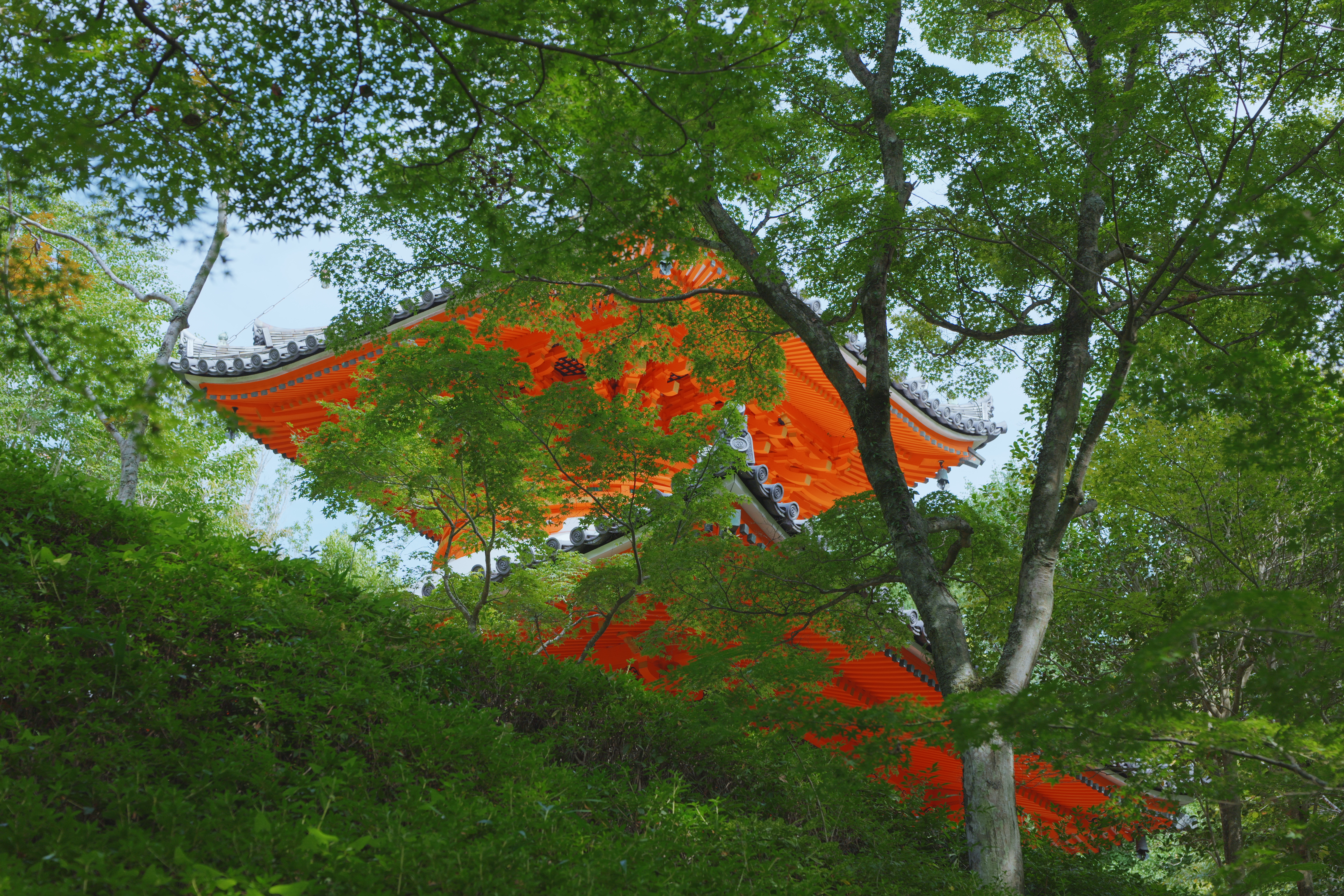 Mitaki-dera Temple / 三瀧寺