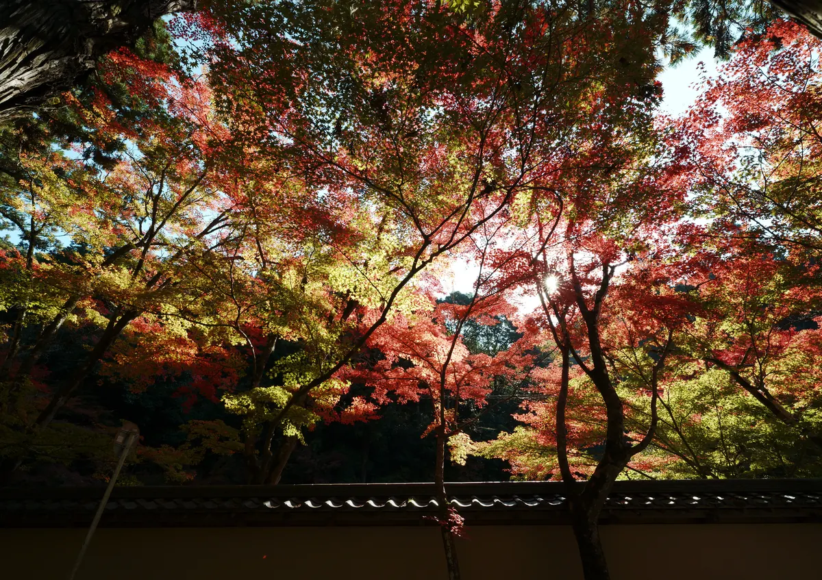 Buttsuji Temple / 佛通寺