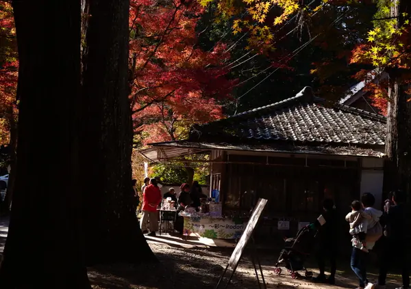 Buttsuji Temple / 佛通寺