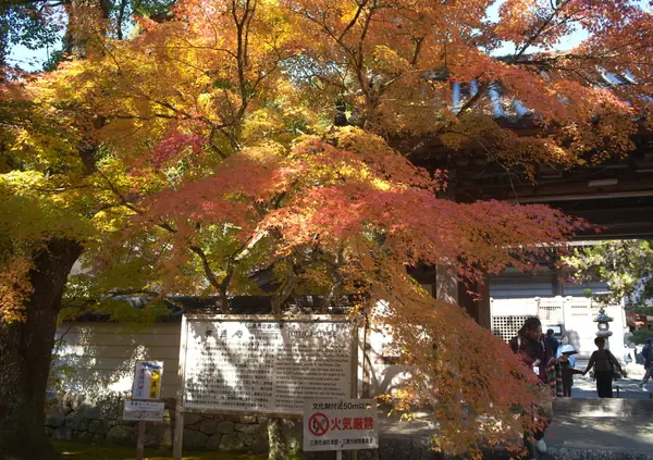 Buttsuji Temple / 佛通寺