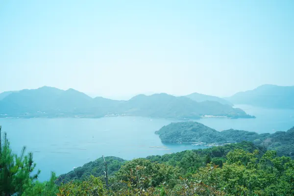 Aki-Kofuji /安芸小富士