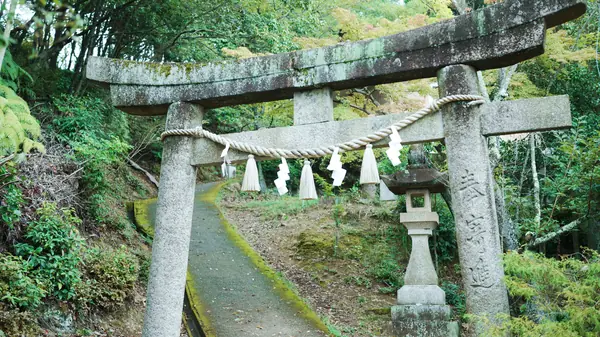 Mount Shirataki Summit / 白滝山山頂