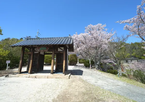 Mount Shirataki Summit / 白滝山山頂
