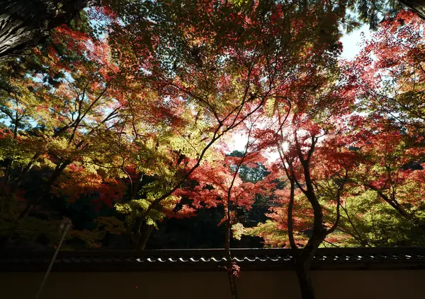 Buttsuji Temple / 佛通寺
