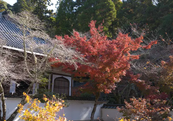 Buttsuji Temple / 佛通寺