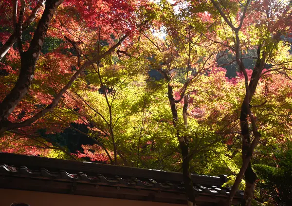 Buttsuji Temple / 佛通寺