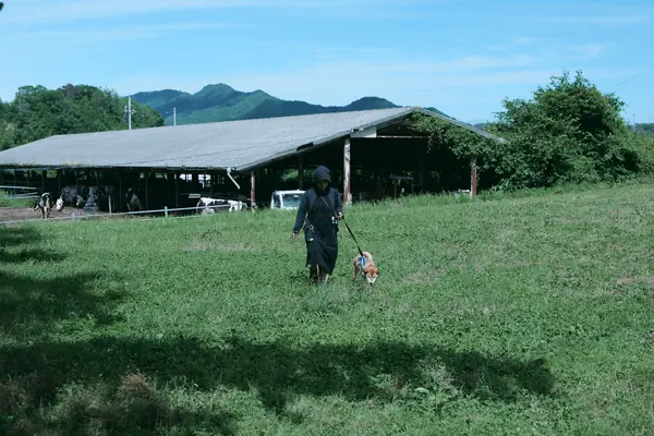 Sagotani Farm / サゴタニ牧農