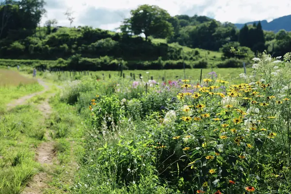Sagotani Farm / サゴタニ牧農