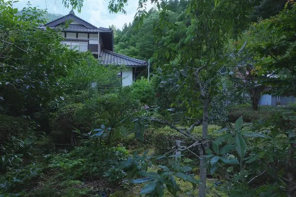 Coffee House Saku Saku / コーヒーハウス 咲く咲く