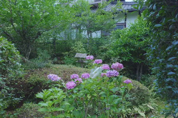 Coffee House Saku Saku / コーヒーハウス 咲く咲く