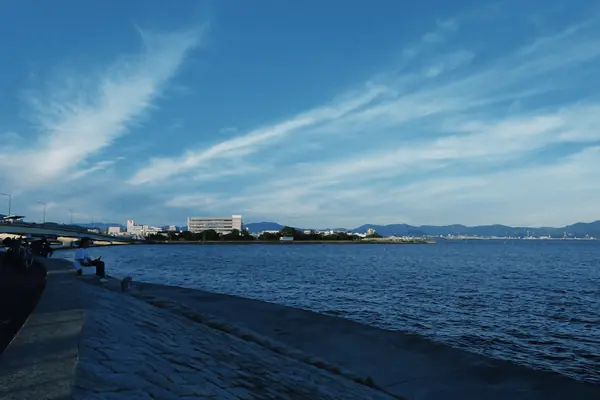 Mizutori-no-Hama Park / みずとりの浜公園