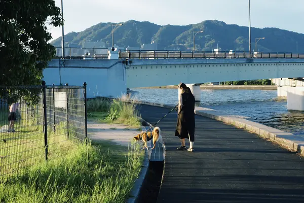 Mizutori-no-Hama Park / みずとりの浜公園