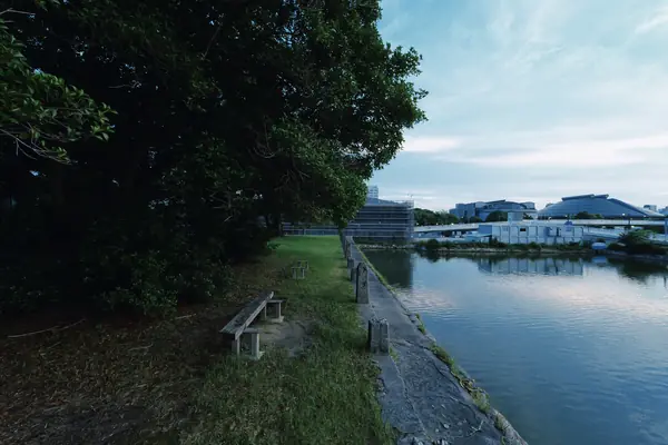 Hidden Sunset Spot behind Hiroshima Gokoku Shrine / 広島城・護国神社裏の夕景スポット