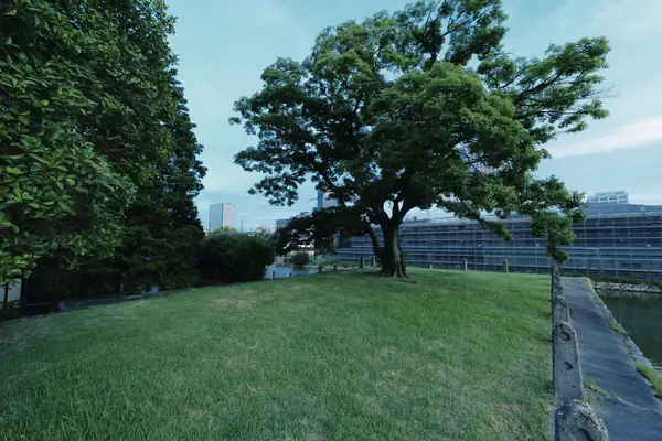 Hidden Sunset Spot behind Hiroshima Gokoku Shrine / 広島城・護国神社裏の夕景スポット