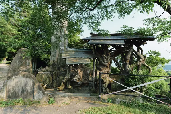 Takagarasudai Observatory & Mitsuda Garden / 高烏台展望台・光田庭園