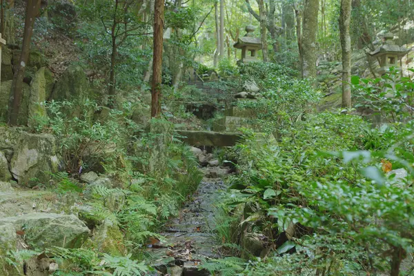 Mitaki-dera Temple / 三瀧寺