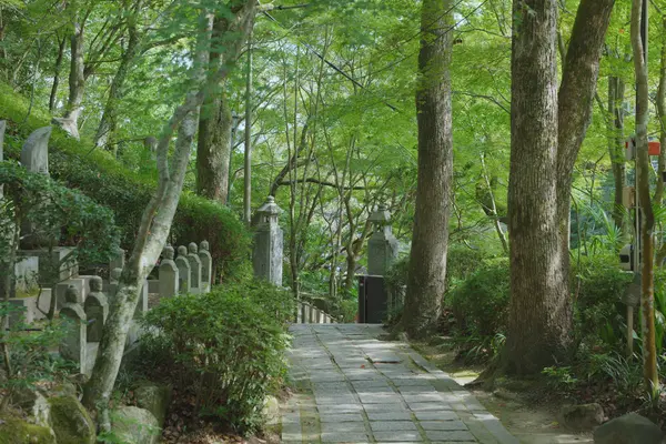 Mitaki-dera Temple / 三瀧寺