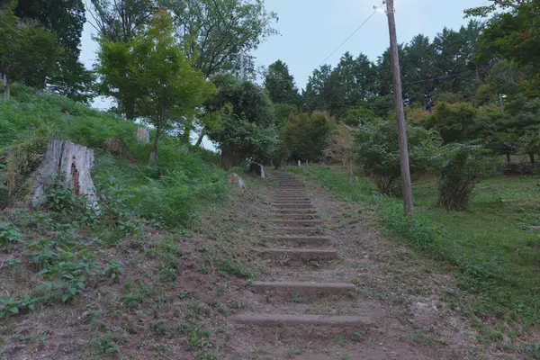 Takadaniyama Sea of Clouds Observatory / 高谷山霧の海展望台
